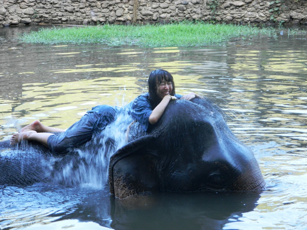 One of THE best experiences of my life - swimming with elephants!!