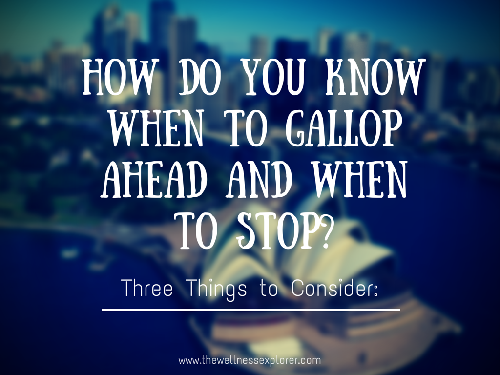 How do you know when to gallop ahead and when to stop?