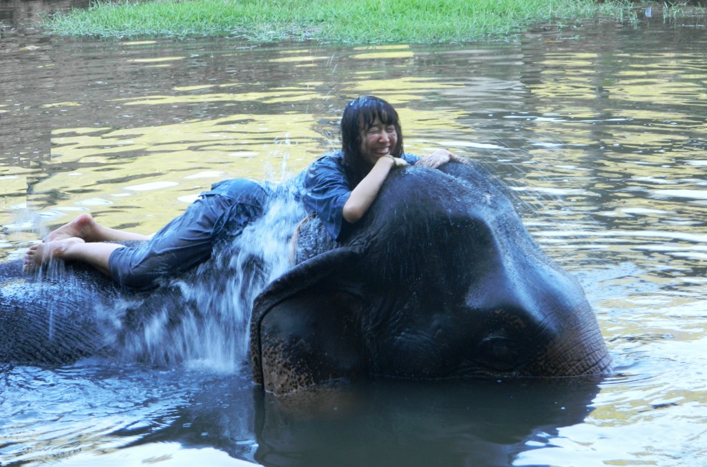 Swimming with elephants - one of the best experiences ever!