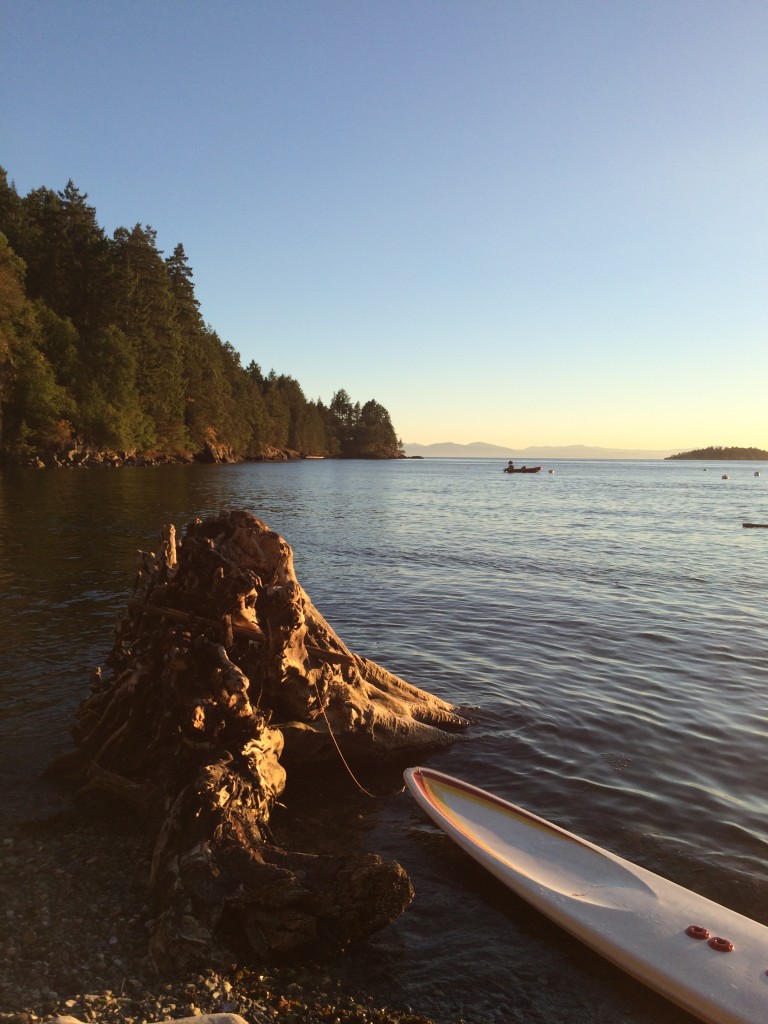 beach at sunset