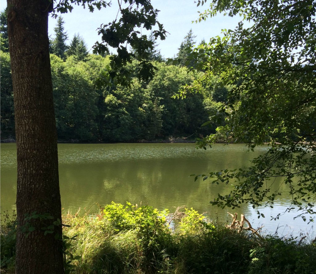 peaceful lagoon