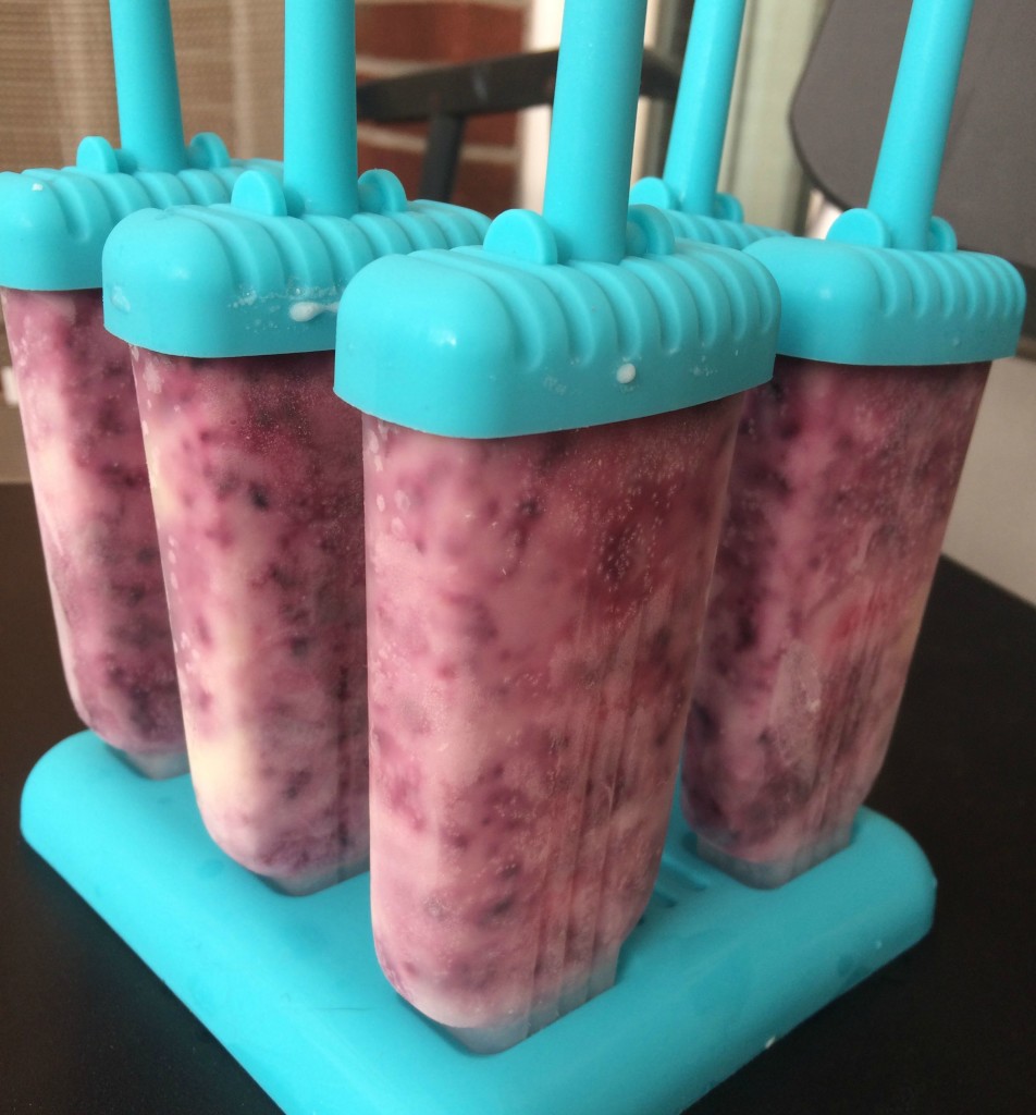 Blueberry Greek Yogurt Popsicles