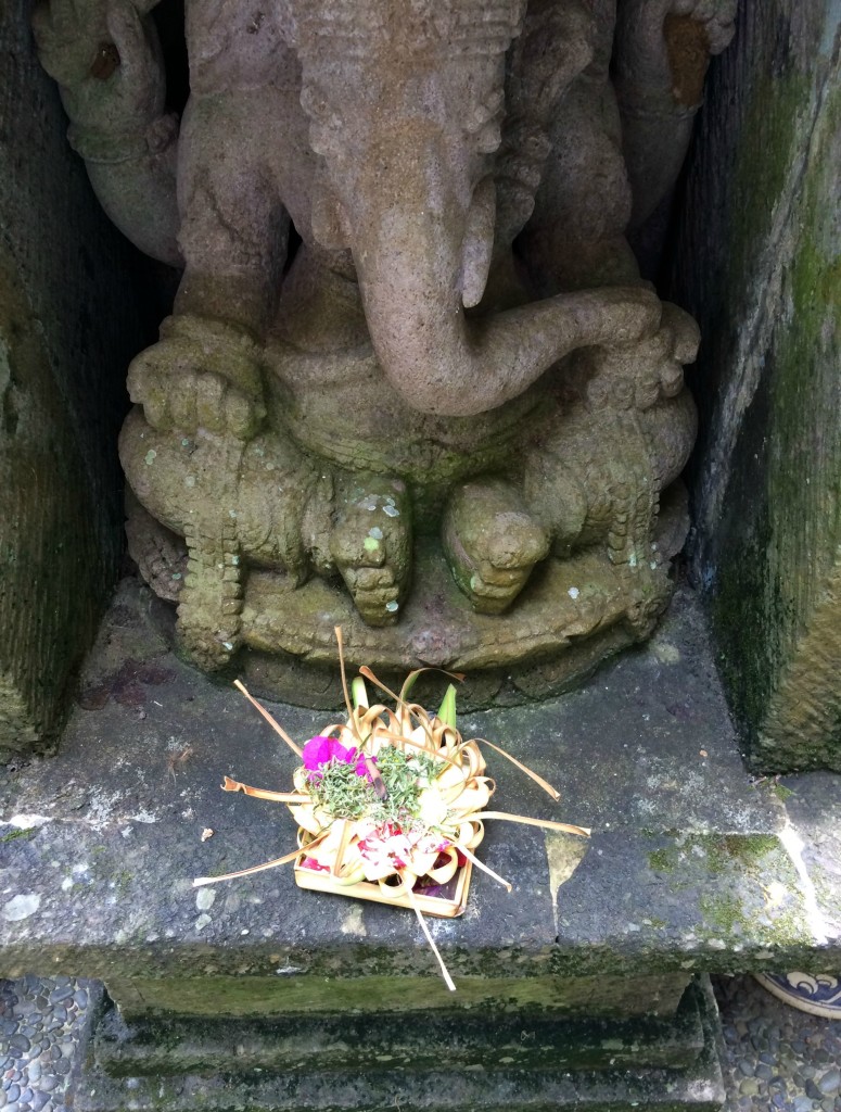 beautiful offerings