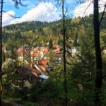 Traveling through Freiburg & hiking the Black Forest